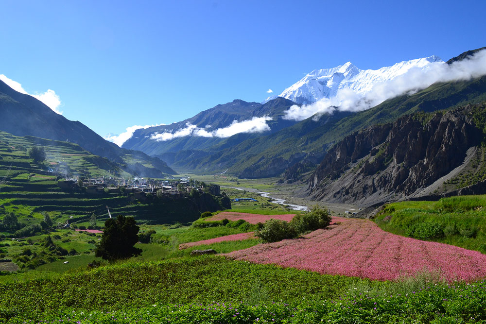Lower Dolpo
