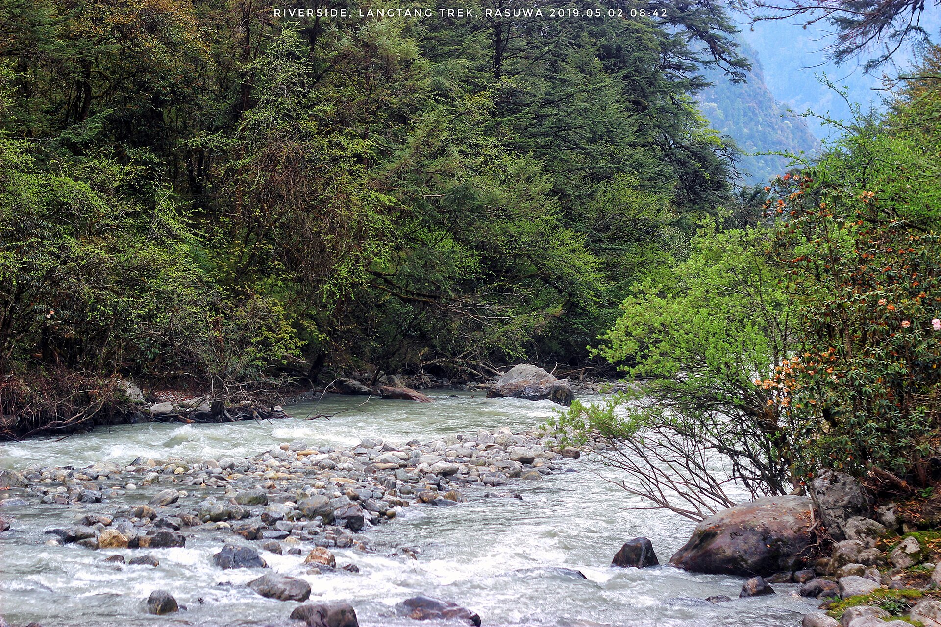 Tamang Heritage Trail — Nepal trek