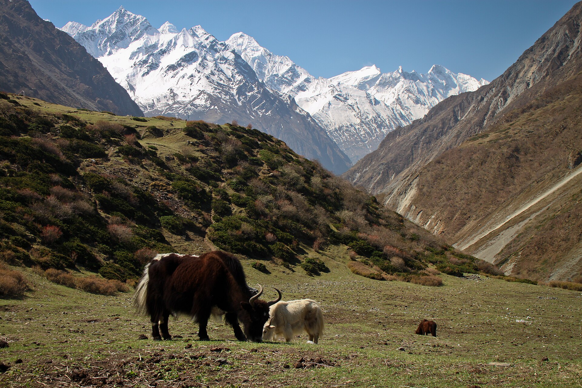 Tsum Valley — Nepal trek